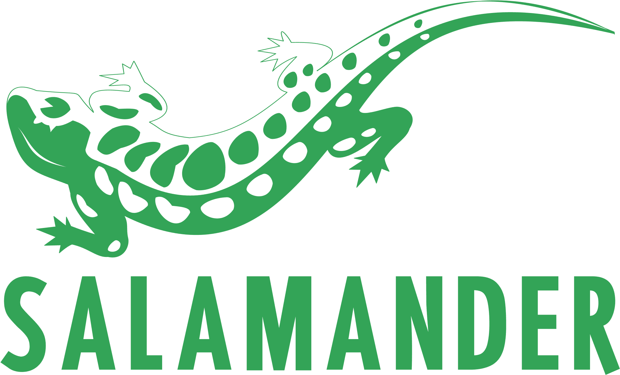 Salamander_logo_PNG5